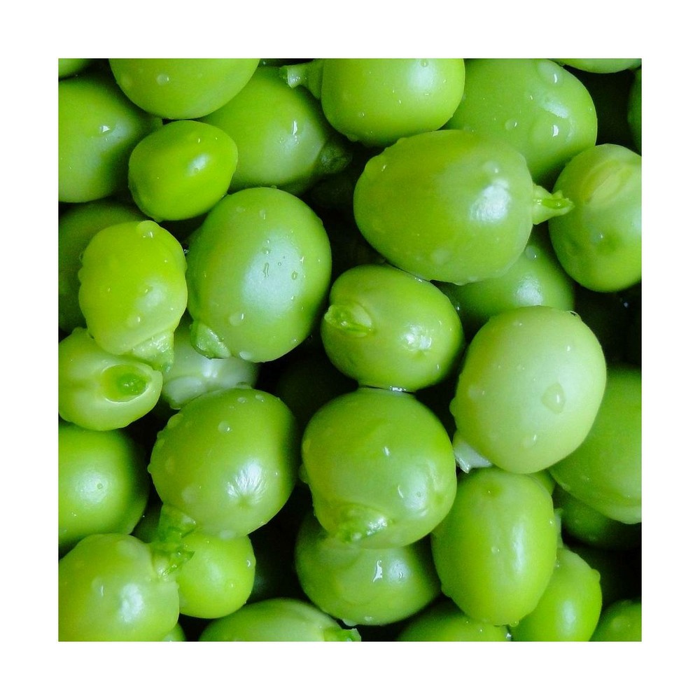 Graines de pois a rame grain rond roi des conserves/pisum sativum a rame grain rond roi des conserves[-]sachet de 80 gr.