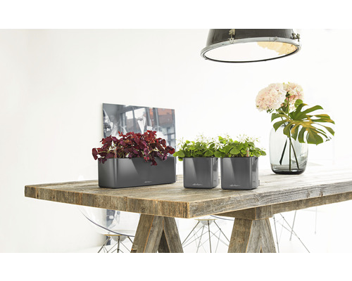 Lechuza Glossy Triple kunststof bloembak 40x14x14 cm antraciet incl. zelfbewateringssysteem en plantenbak