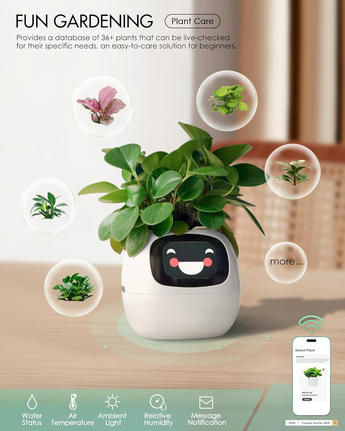(9x9cm) Intelligenter Mini USB Blumentopf Home Deko Pflanzen Übertopf mit 40 Emotionen / LCD Display inkl. Kieselsteine (iOS/Android) - Ivy / Weiss