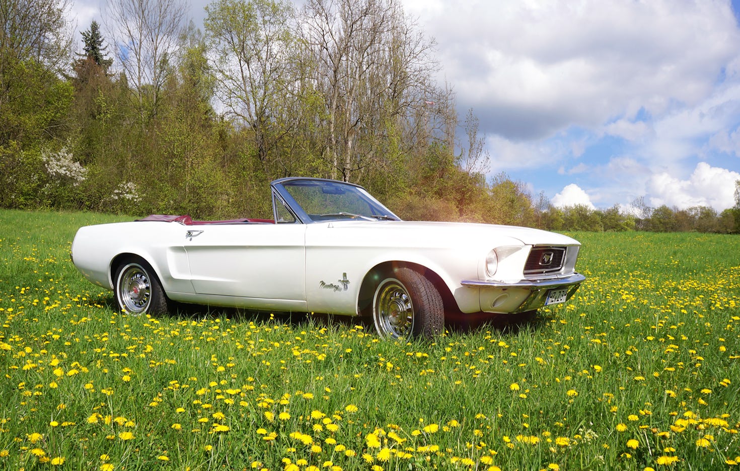 Mustang fahren Jena