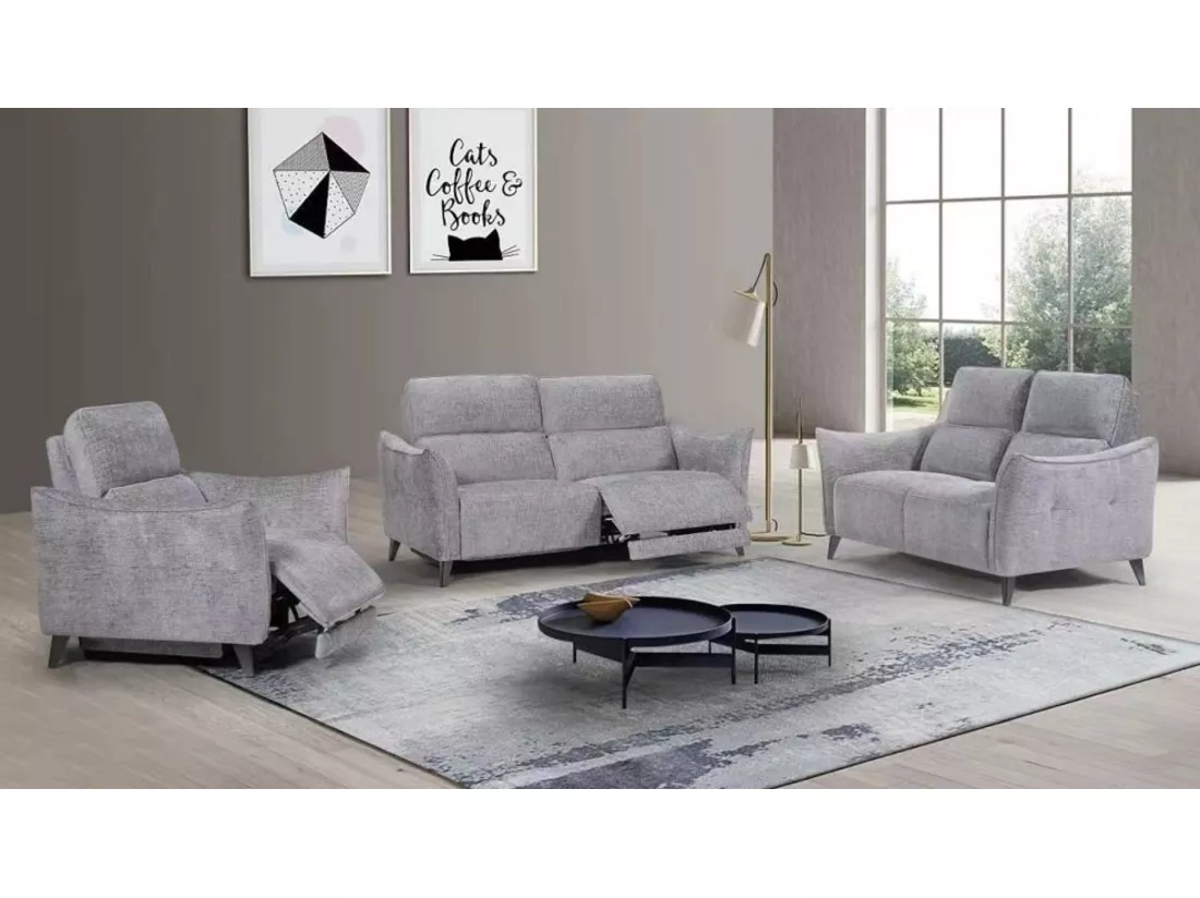 Canapé de relaxation électrique tissu chenillé doux et moelleux Bakay-Couleur Gris clair-2 places fixe