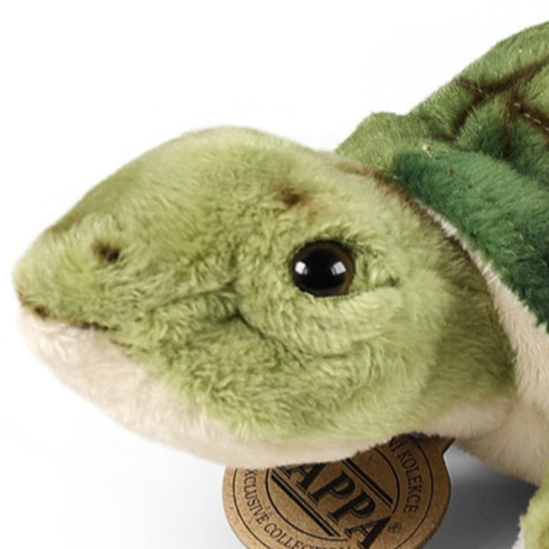 rappa knuffelwaterschildpad - 20 cm