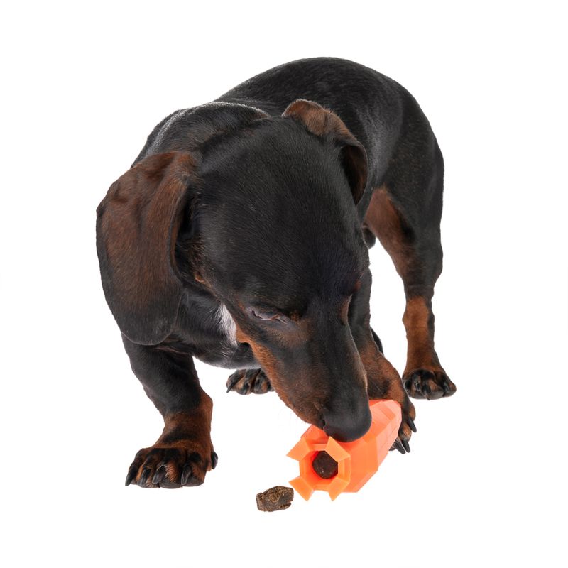 Jeu de flair TIAKI carotte