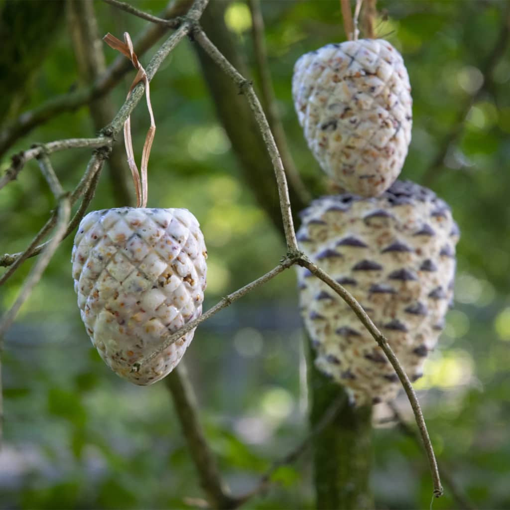 Graines pour oiseaux suspendues cônes de pin 8 pcs