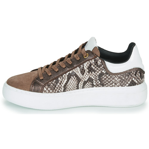 JB Martin - HIBISCUS - MIX PYTHON MARRON