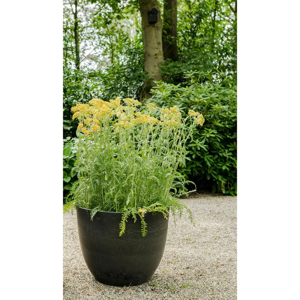 Ter Steege Plantenpot - zwart - kunststof - 28 x 24 cm