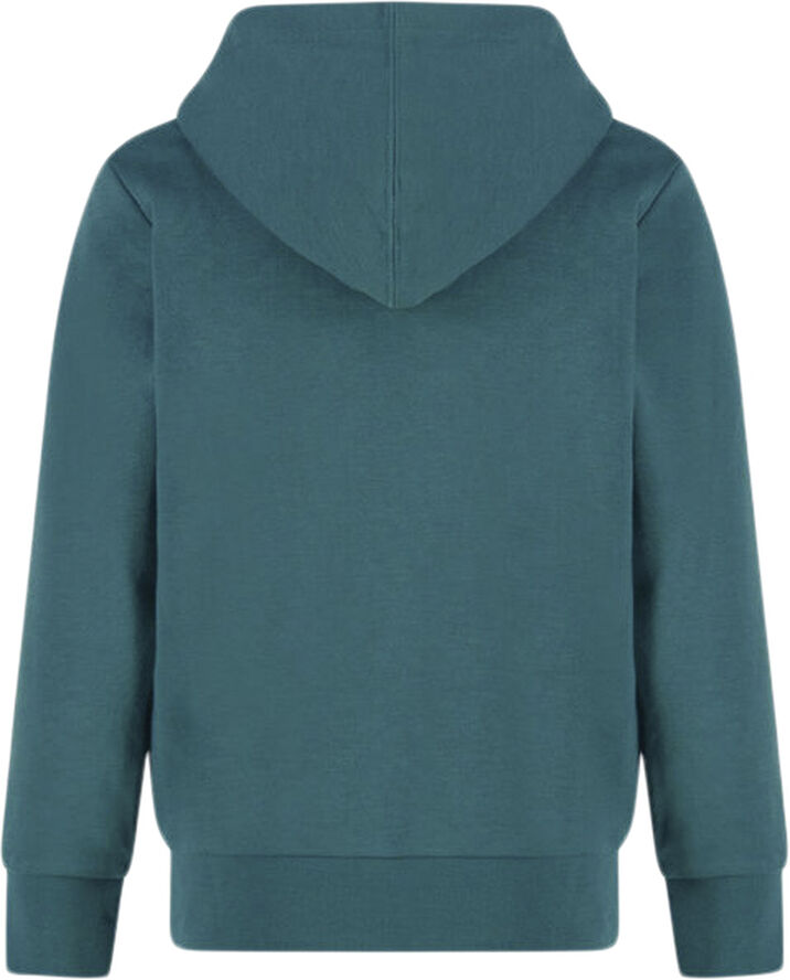 Champion Hooded sweatshirt Grøn