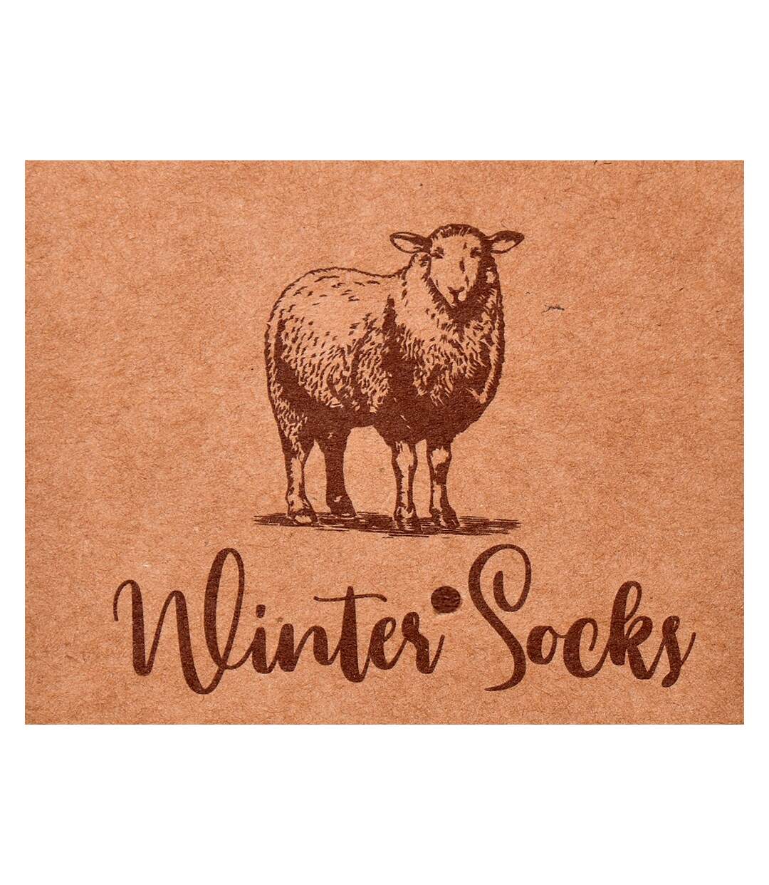Chaussettes Femme WINTER SOCKS Pack de 4 Paires 0532 LAINE REVERS