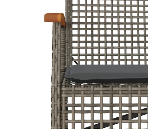 VIDAXL - Banc de jardin avec coussin gris résine tressée et acacia