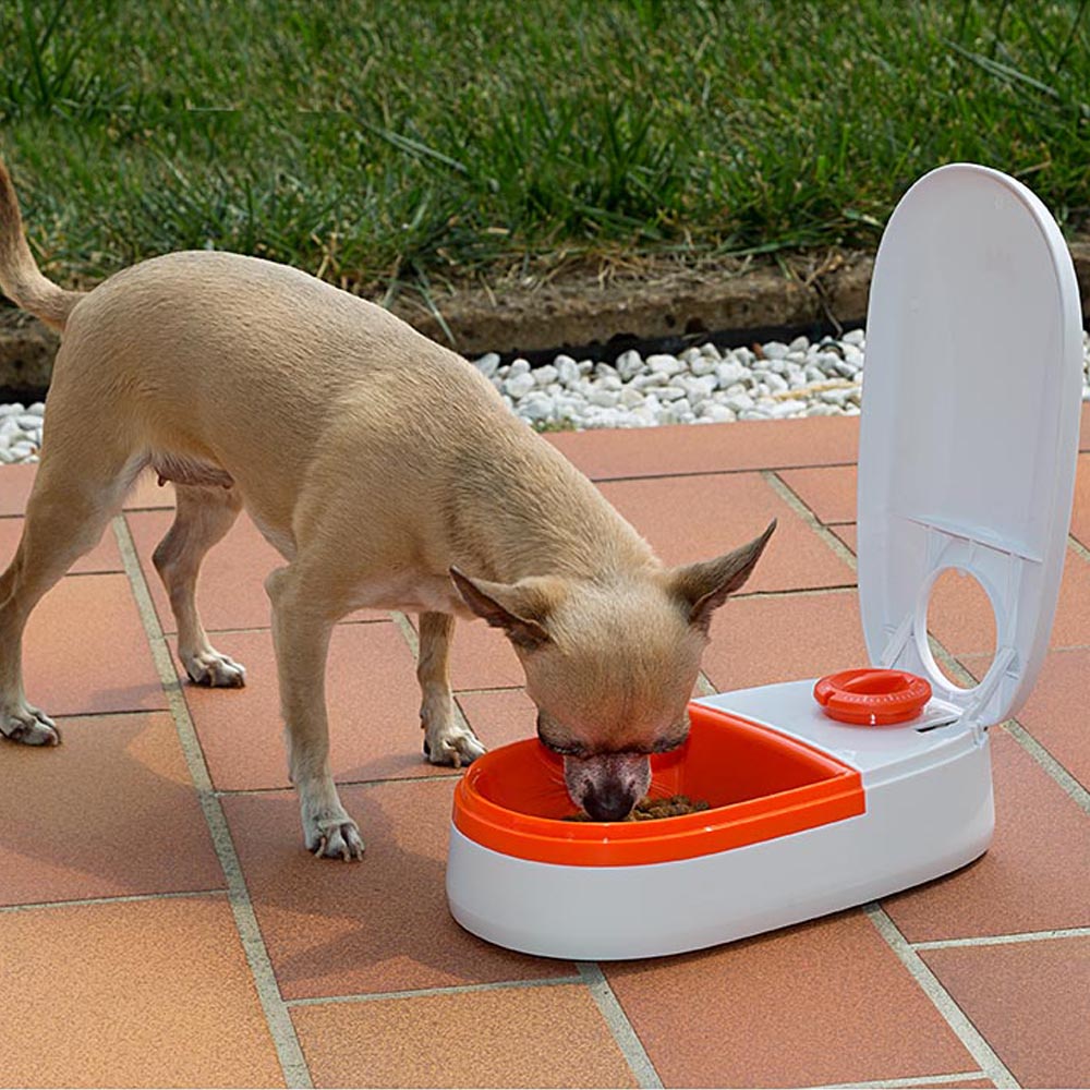 Distributeur automatique de nourriture pour chiens et chats cometa, écuelle 0,4 l avec timer, anti-dérapant