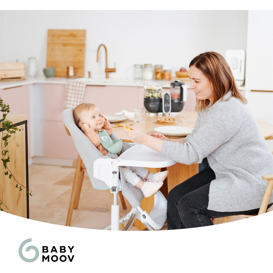 babymoov Küchenmaschine Nutribaby plus industrial grey