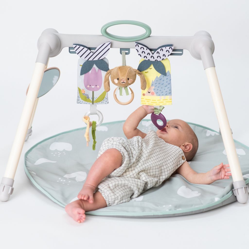 Taf ToysTaf Toys   Spielmatte Urban Garden