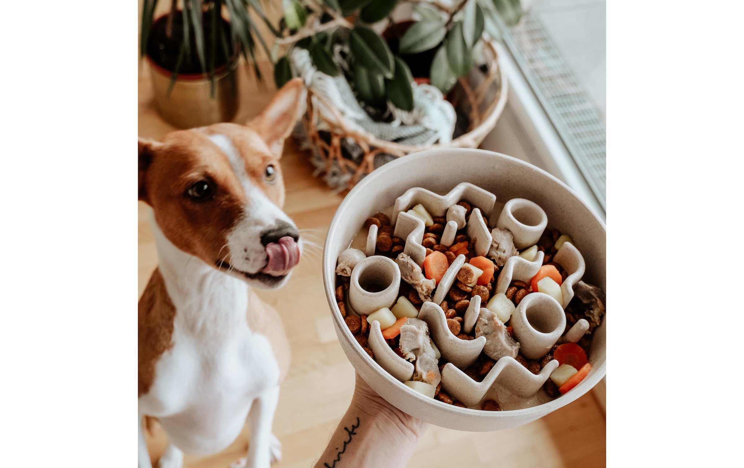 Futternapf »District 70 Bamboo Dog S«
