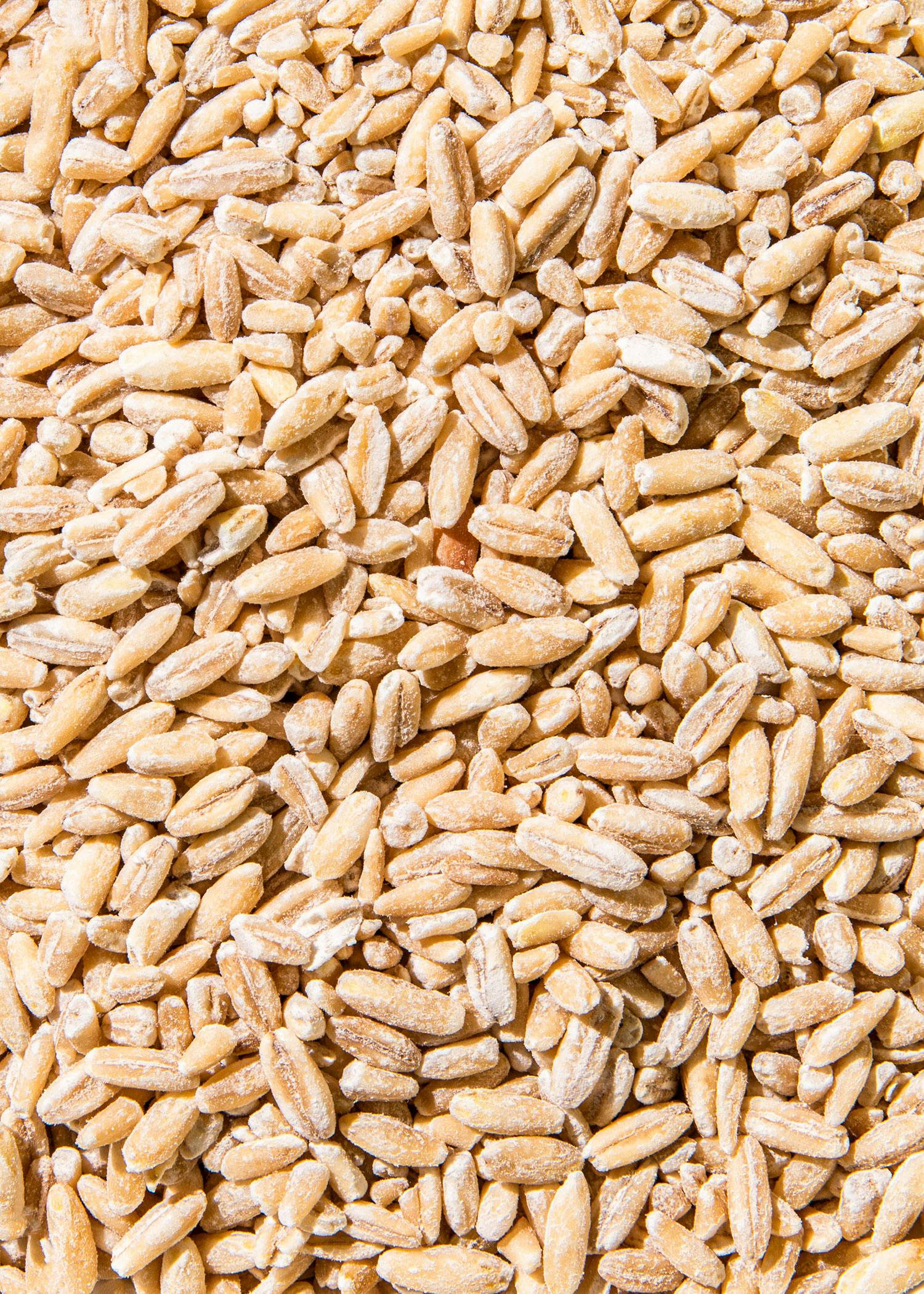Bio Hafer wie Reis 1,5 kg