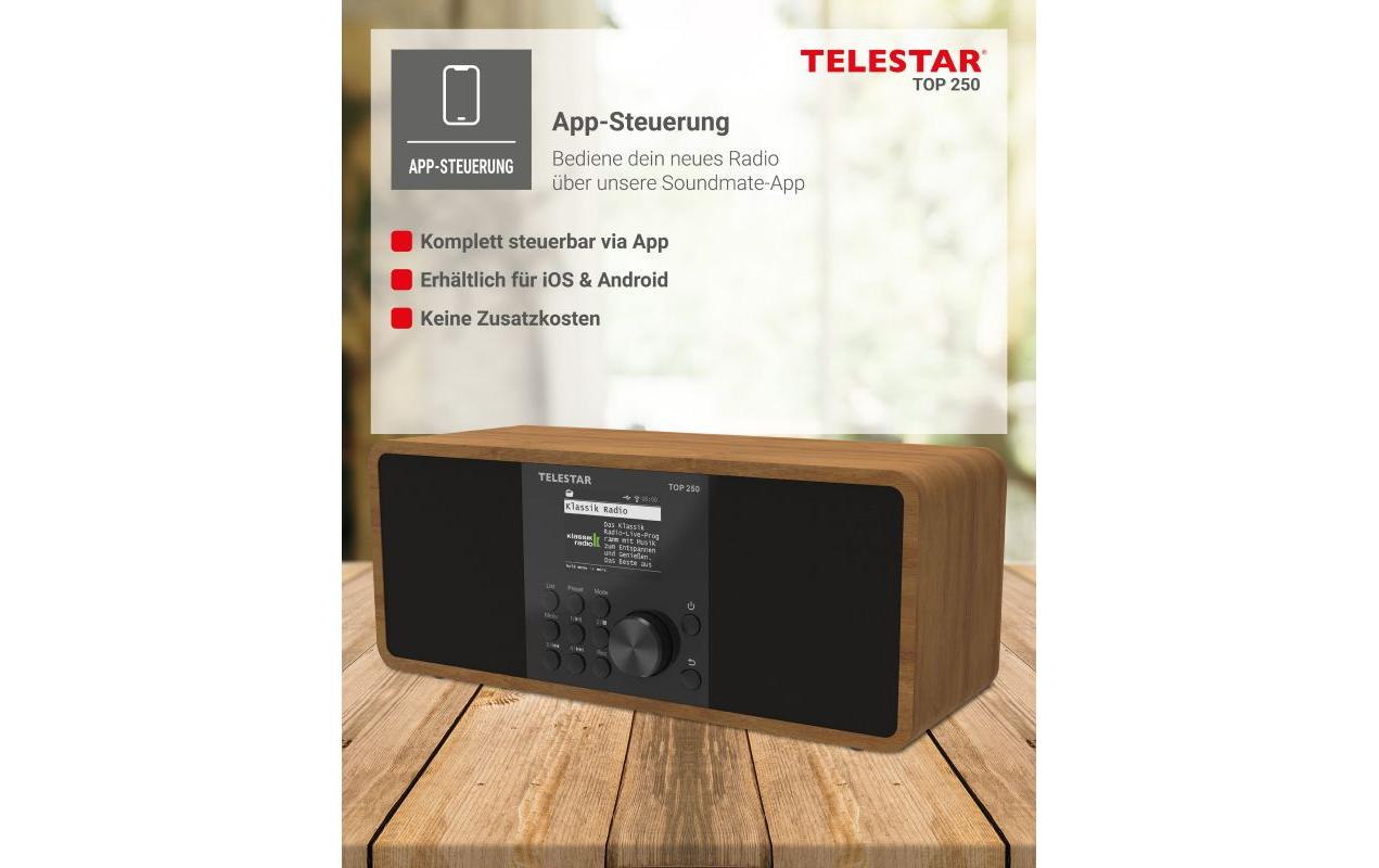 Internet Radio TOP 250 Braun/Holz<br>Stereo-Radio mit DAB+/FM und Internetradio