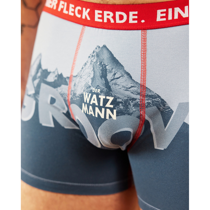 Ein schöner Fleck Erde Herren Der Watzmann Groovt Boxer