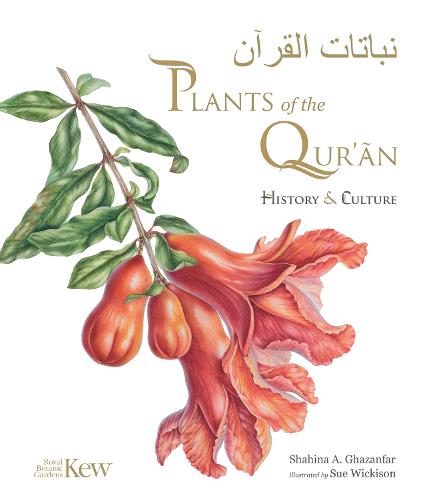 Plants of the Quran: History & culture (Hardback)
