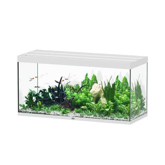 Aquarium Sublime Led 2.0 Pro Blanc L.150x P.60x H.75cm
