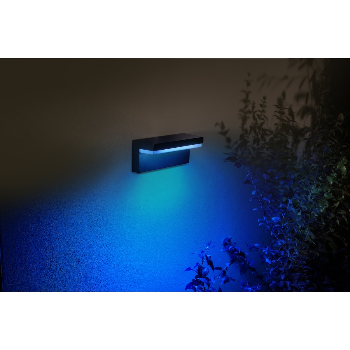 Philips Hue Nyro vegglampe (sort)