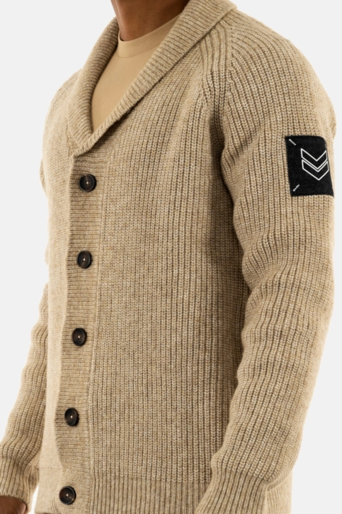 Gilets cardigans freeman t. porter ralph bellagio rcp65 f793 beige