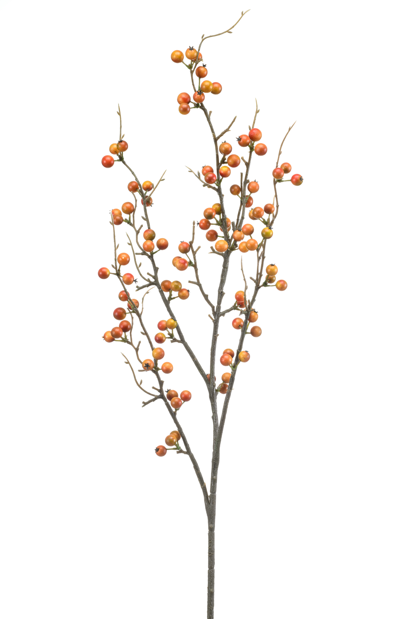 Berry spray orange