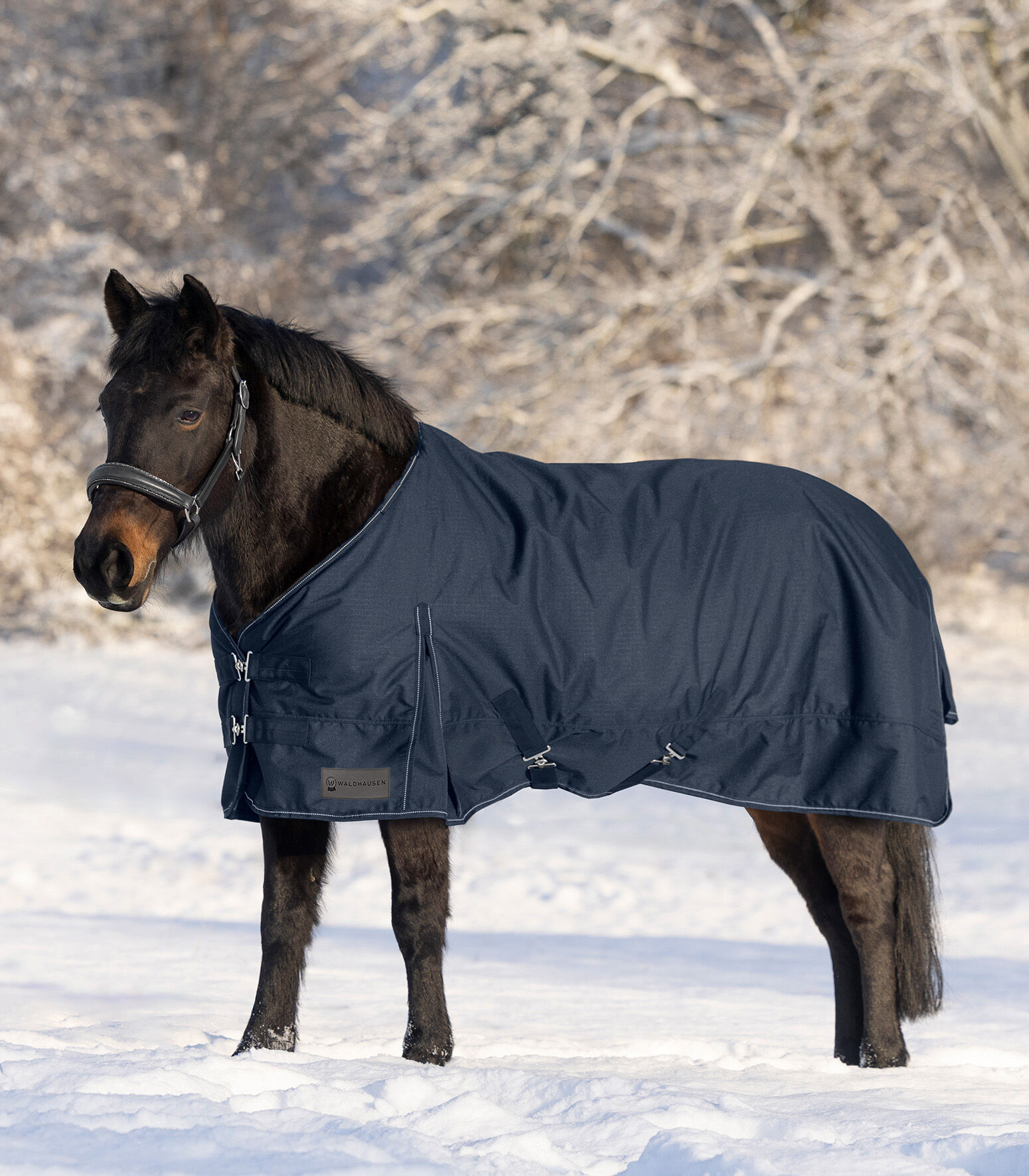 Waldhausen Nordic 300 gr - Winterdeken - Paardendeken - Blauw - 115/165