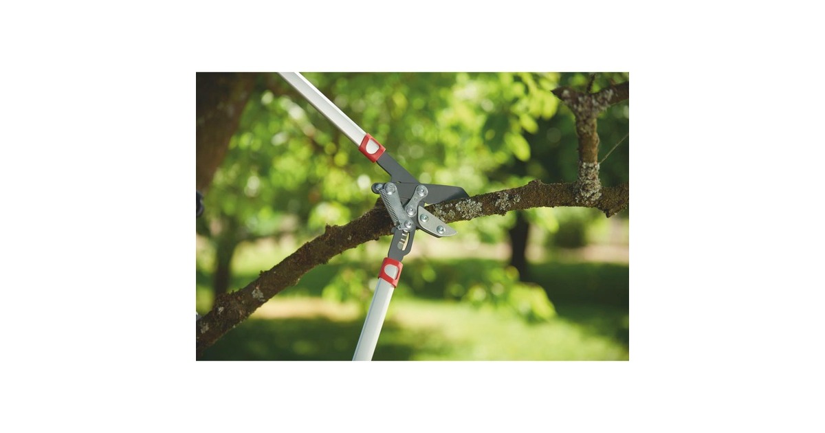 WOLF-GartenPower Cut RS 800 V takkenschaar  (Rood/zilver)