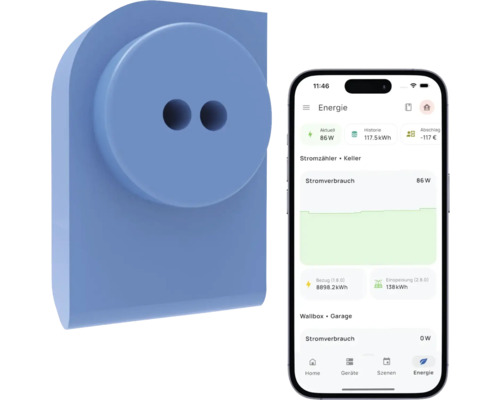 everHome EcoTracker - Compatibel met SMART HOME van hornbach