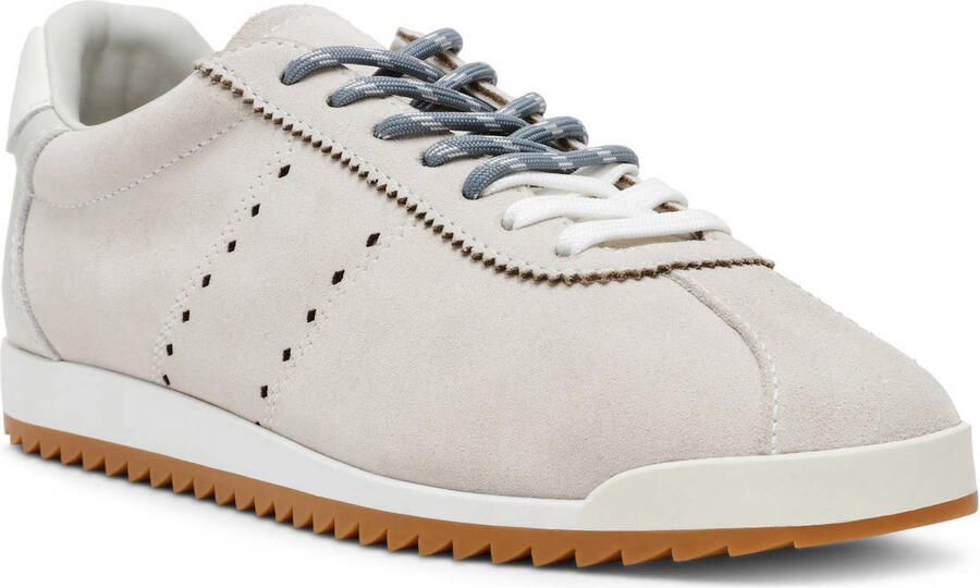 Steve Madden Mirage-SM suède sneakers lichtgrijs