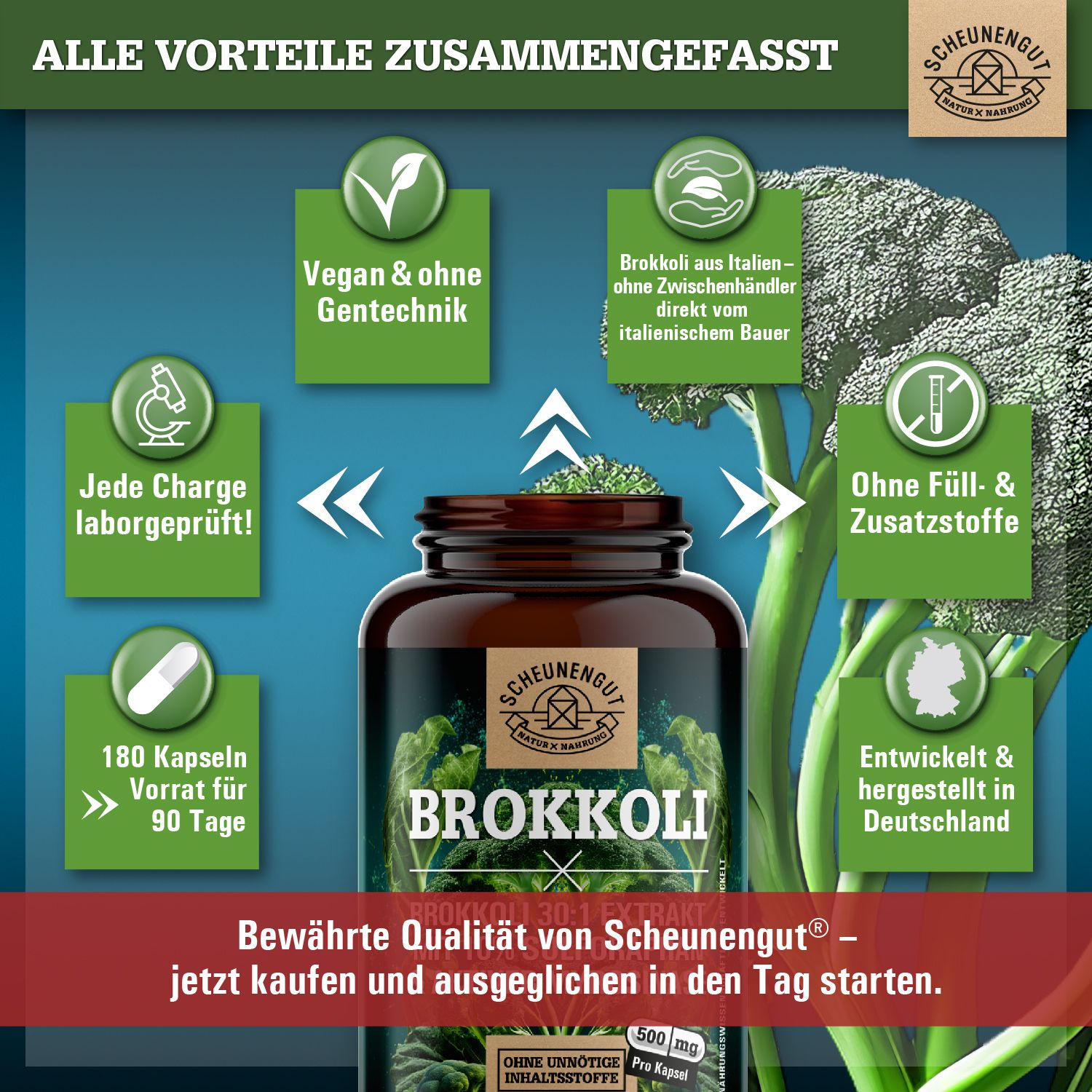 Scheunengut® Brokkoli  | 30:1 Brokkolisprossen-Extrakt mit mindestens 50mg Sulforaphan