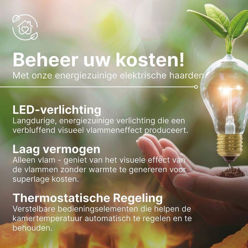 Elektrische Haard - Zwart - Staal