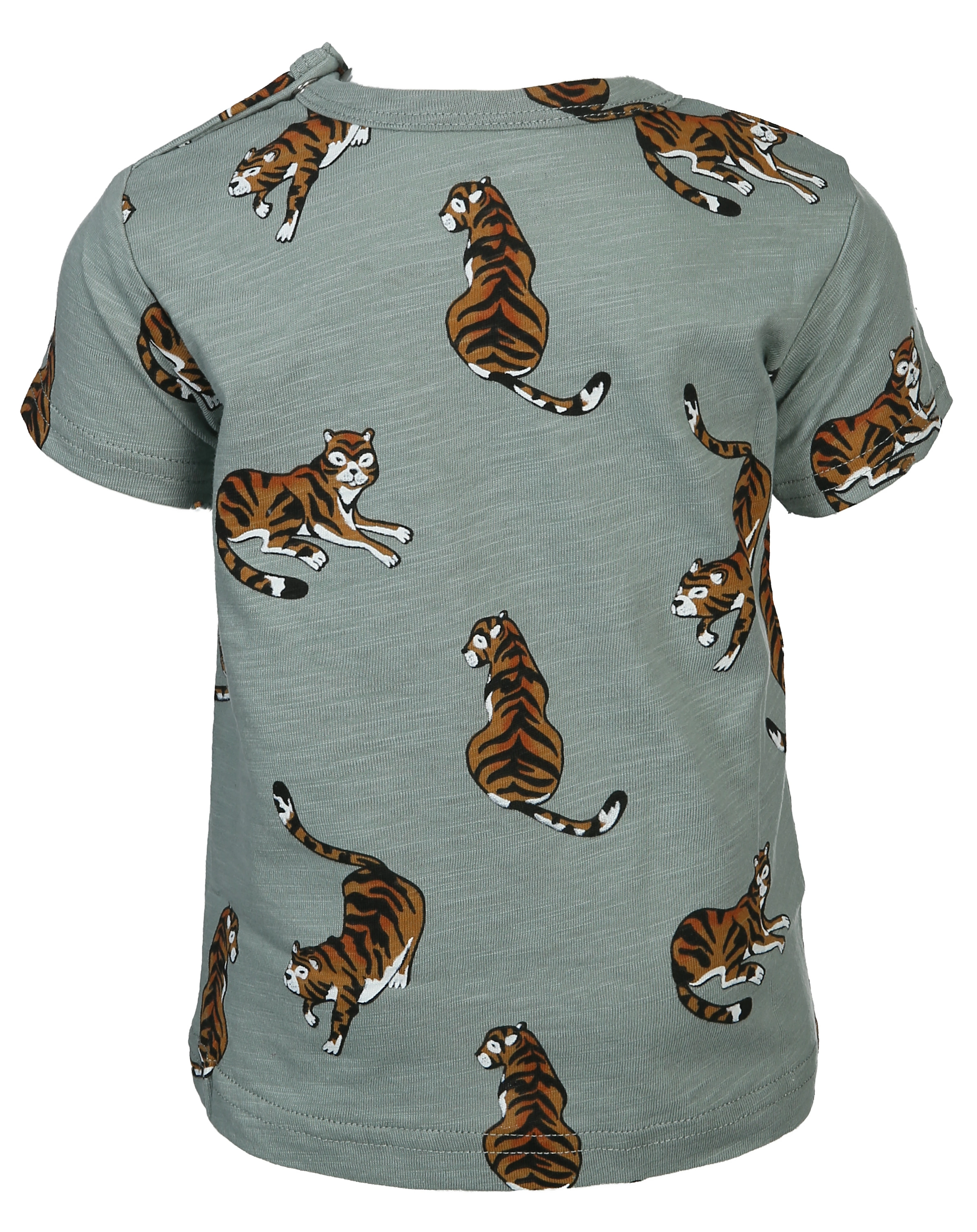 T-Shirt ANKER CATS in jade green