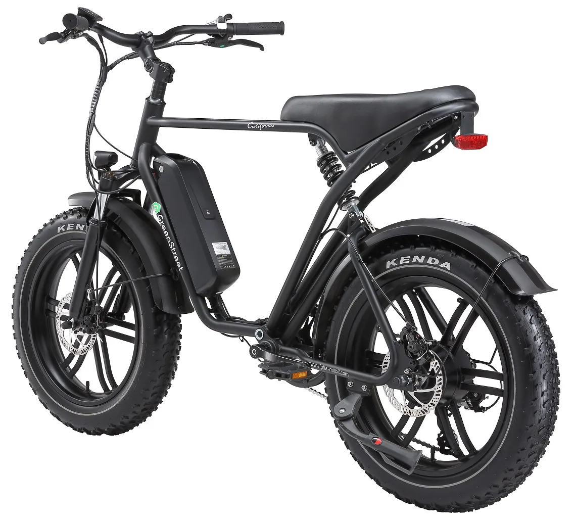 GreenSteet E-Bike Fat Tire California 250 W 20 Zoll schwarz