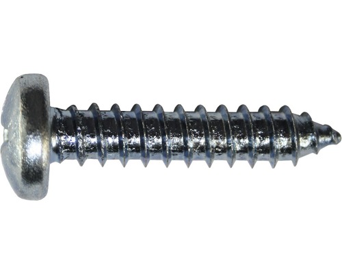 Plaatschroef, bolkop met kruiskop, DIN 7981, 2,9 x 9,5 mm, verzinkt, 100 stuks