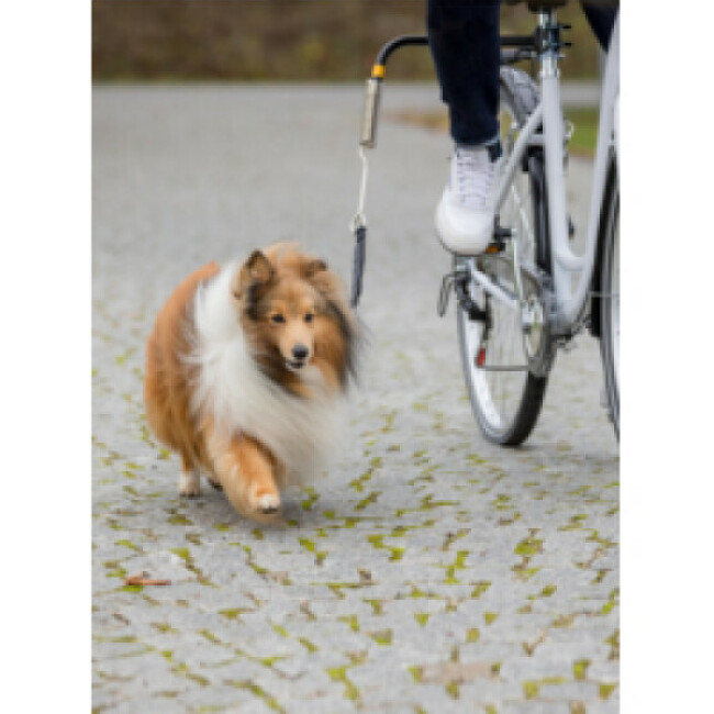Laisse de vélo pour grand chien Biker Set