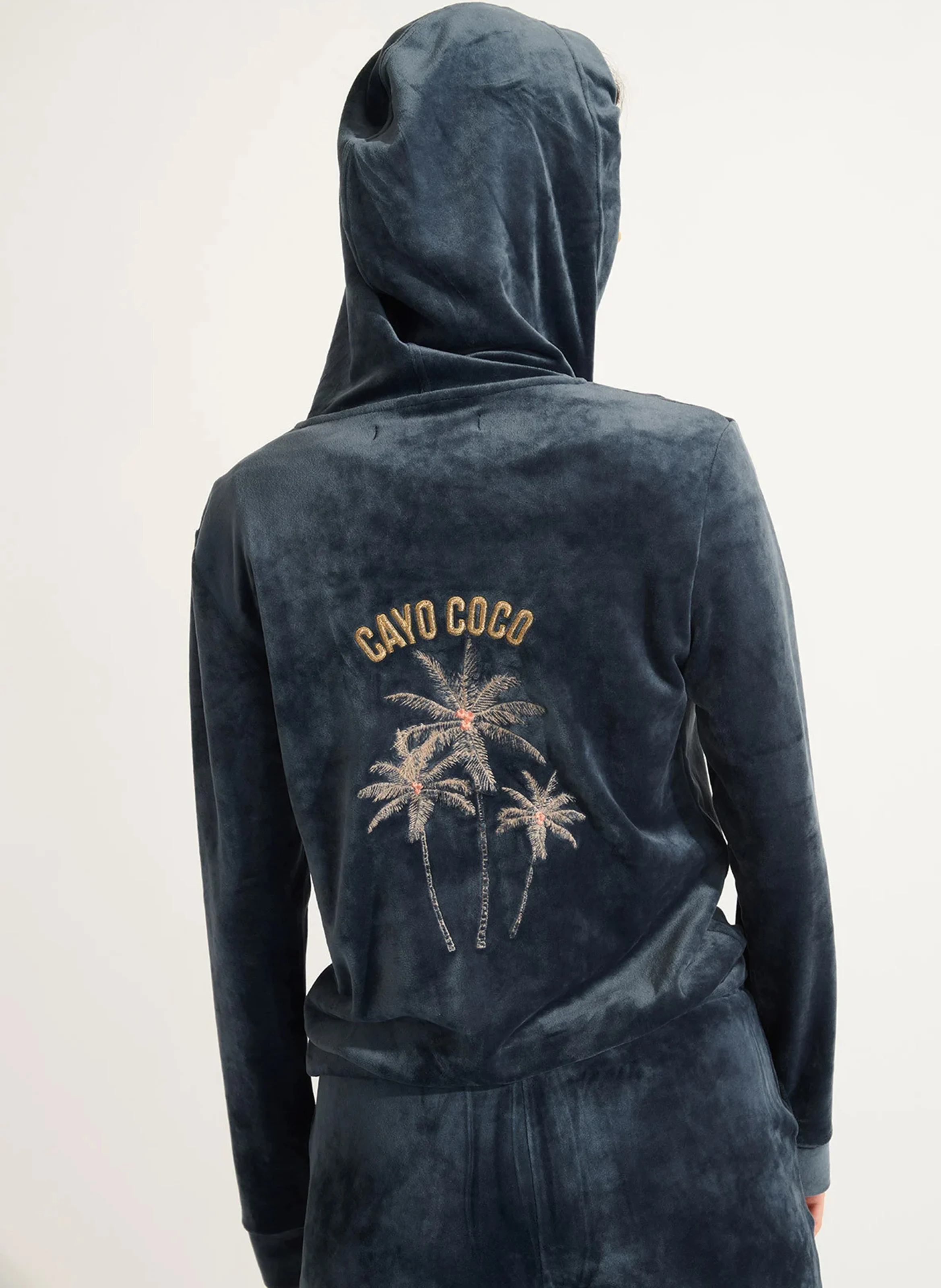 RESCO SEALAKE - Sweat à capuche zippé | Bleu
