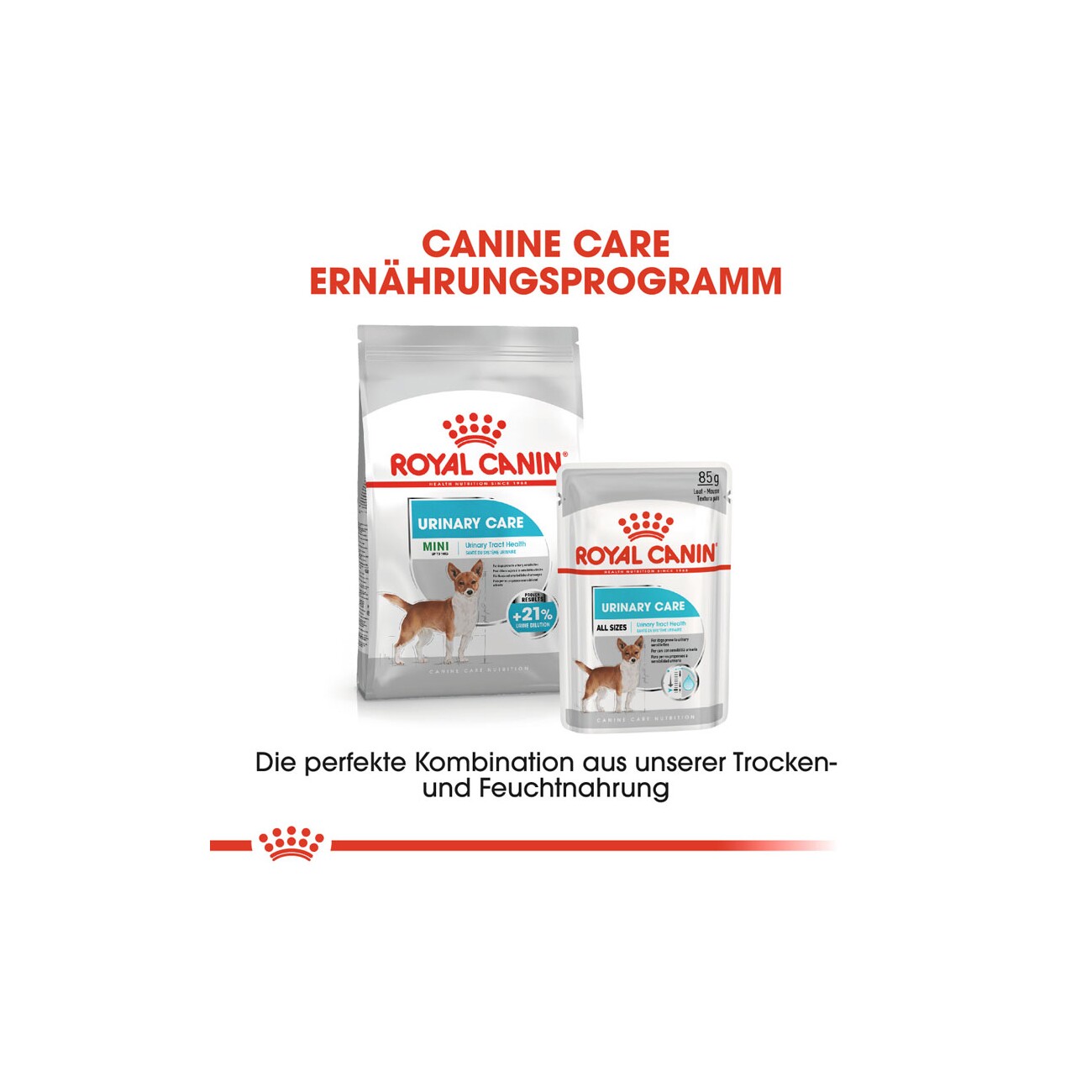 ROYAL CANIN Urinary Care Mini 3 kg