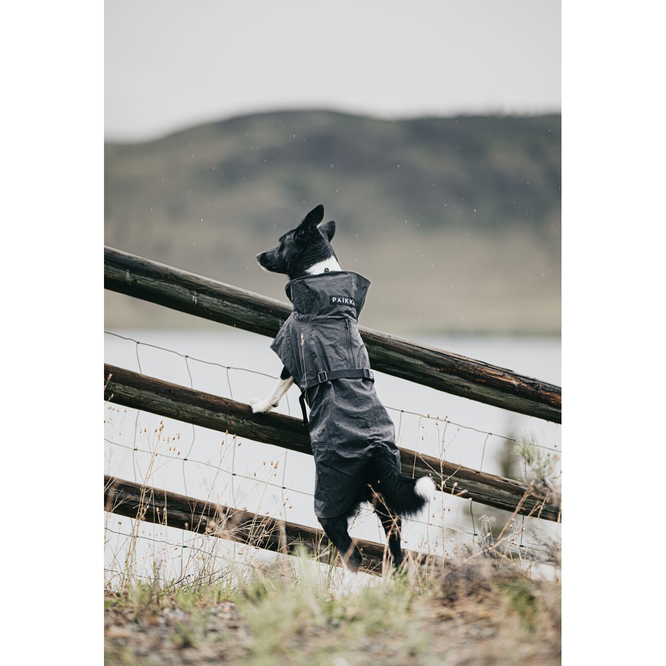 Paikka Visibility Raincoat dark 30 cm