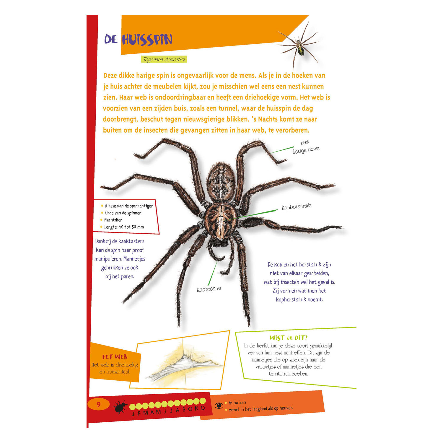 De leukste insectengids voor kids