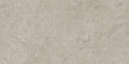 Tegelsample: Valence Lisse vloertegel 60x120cm grijs mat gerectificeerd