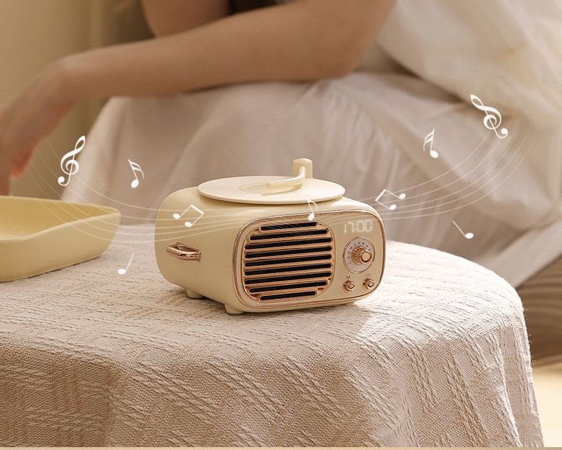 HOMTEC - USB oplaadbare Bluetooth-luidspreker met karaokemicrofoon