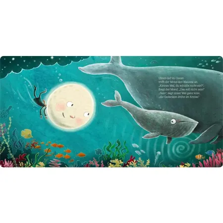 Carlsen Verlag Wenn der Mond in der Nacht über alle Tiere wacht ... gibt er auch auf dich gut acht
