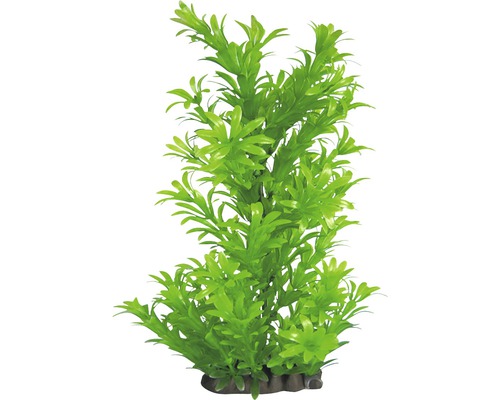 Deluxe Medium Plastic Waterplant Nr. 16 17 cm