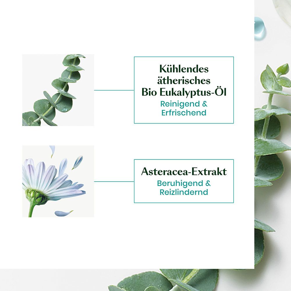 RENE FURTERER ASTERA HEAD SPA Beruhigendes Konzentrat