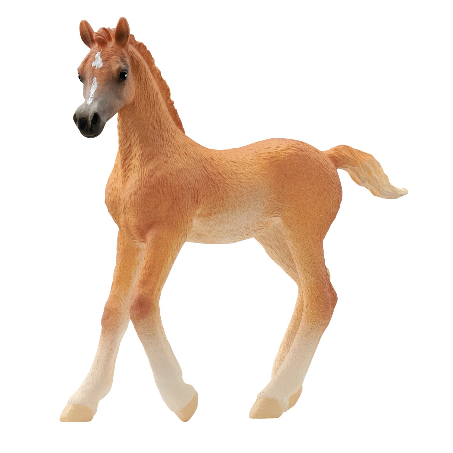 Schleich HORSE CLUB Araber Fohlen