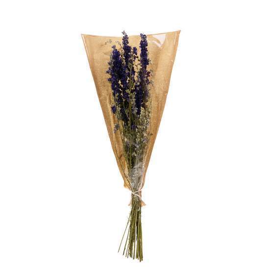 Bouquet de fleurs séchées Delphinium
