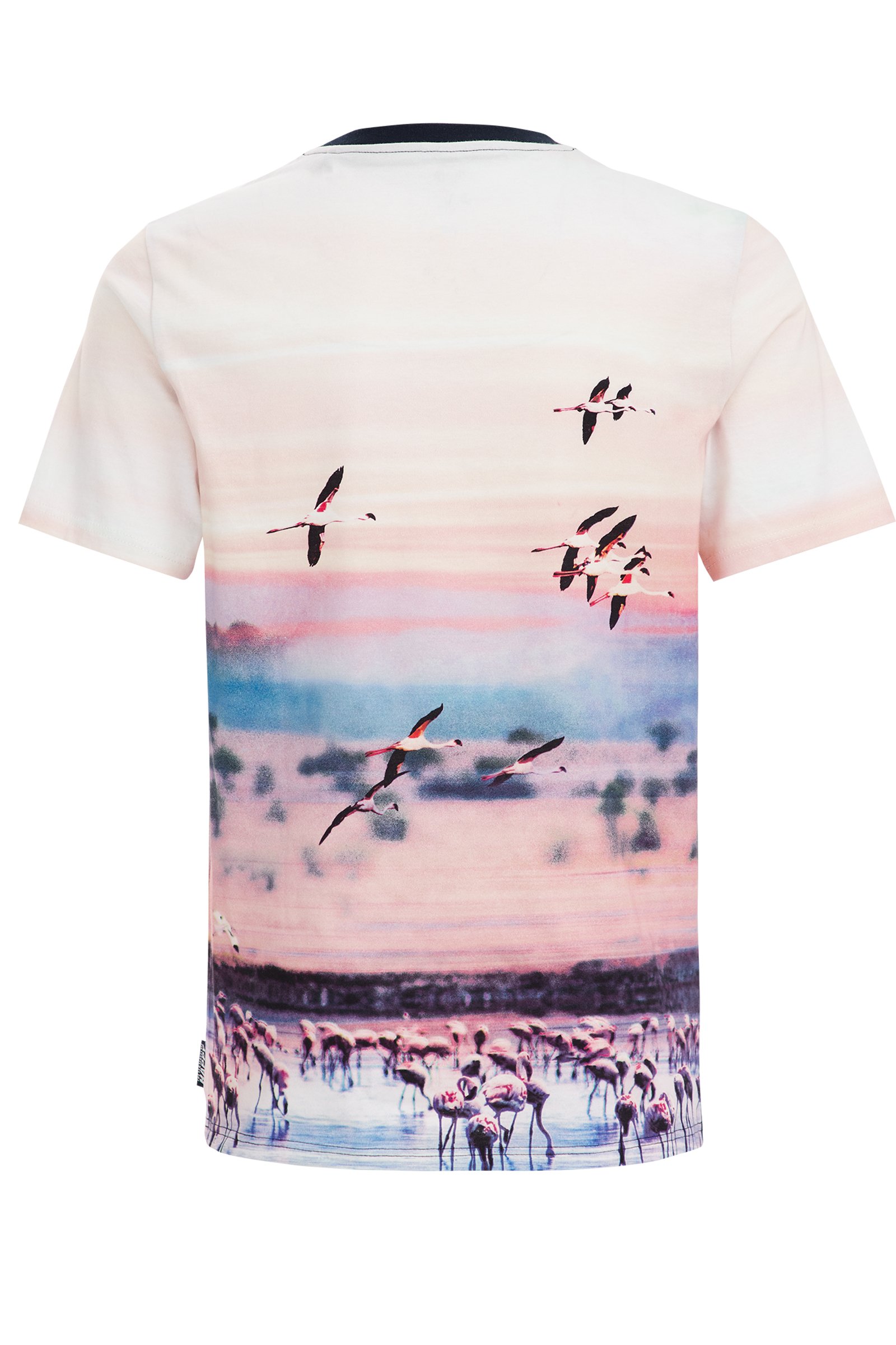 Jongens T-shirt met dessin WE Fashion Multikleur