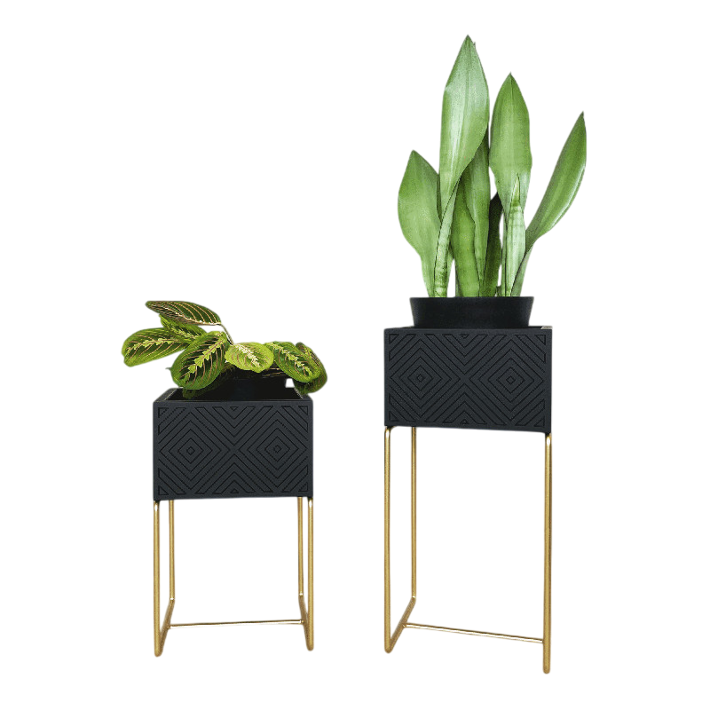 Nevi the plantbox Schwarz, Gold S