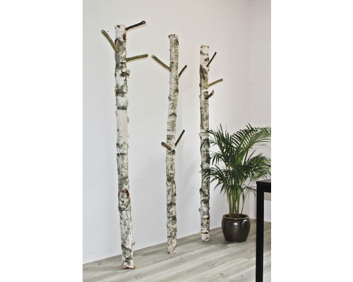 Berkenstam Ø 8 cm 180 cm