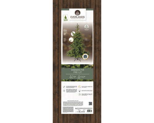 Kunstkerstboom Everlands Grandis, verlicht, 150 cm hoog, groen, incl. LED